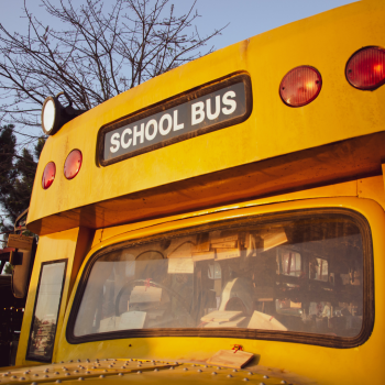 School Bus Driver